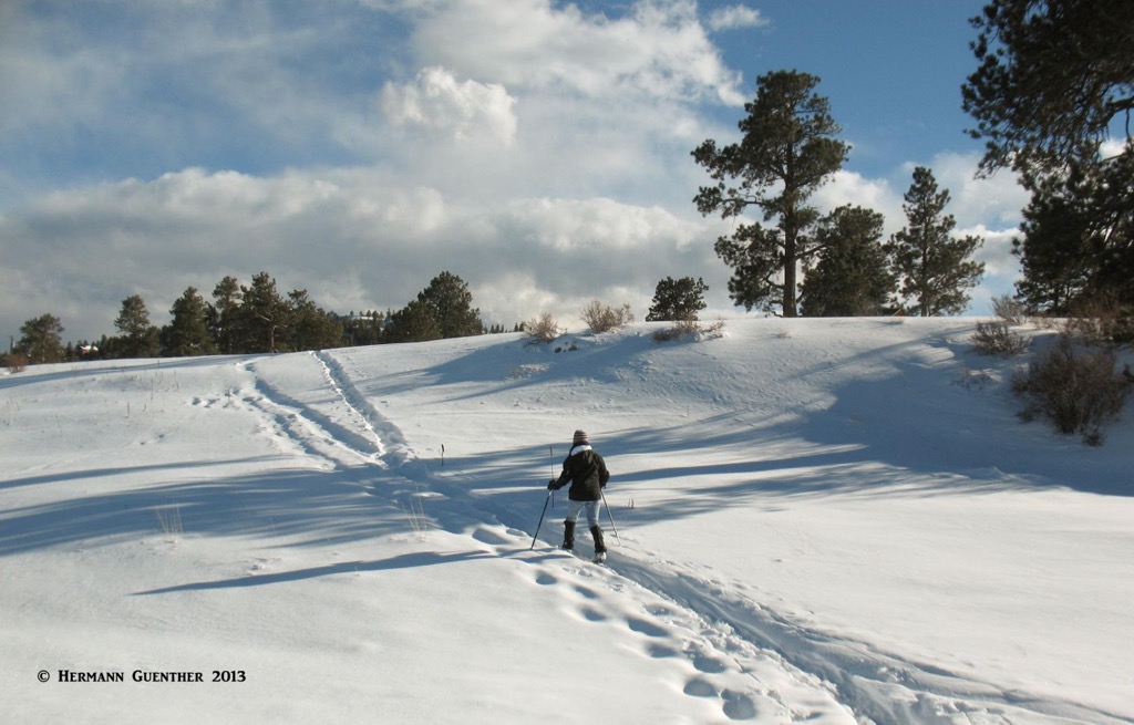 Elk Meadow Park, Colorado