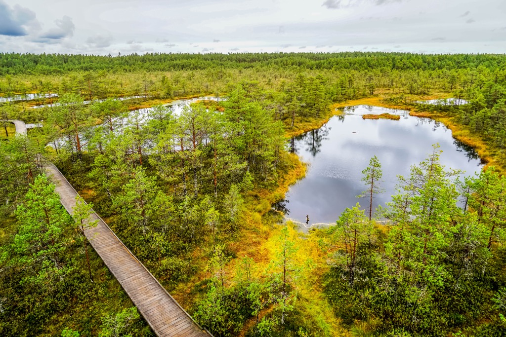 Estonia Mountains