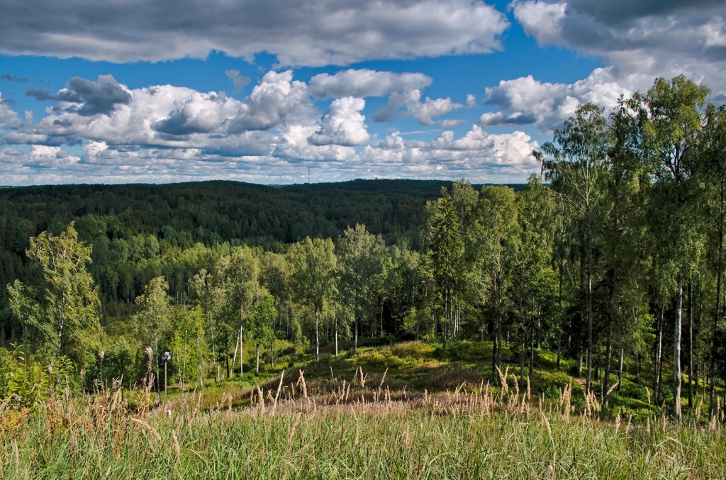 Estonia Mountains