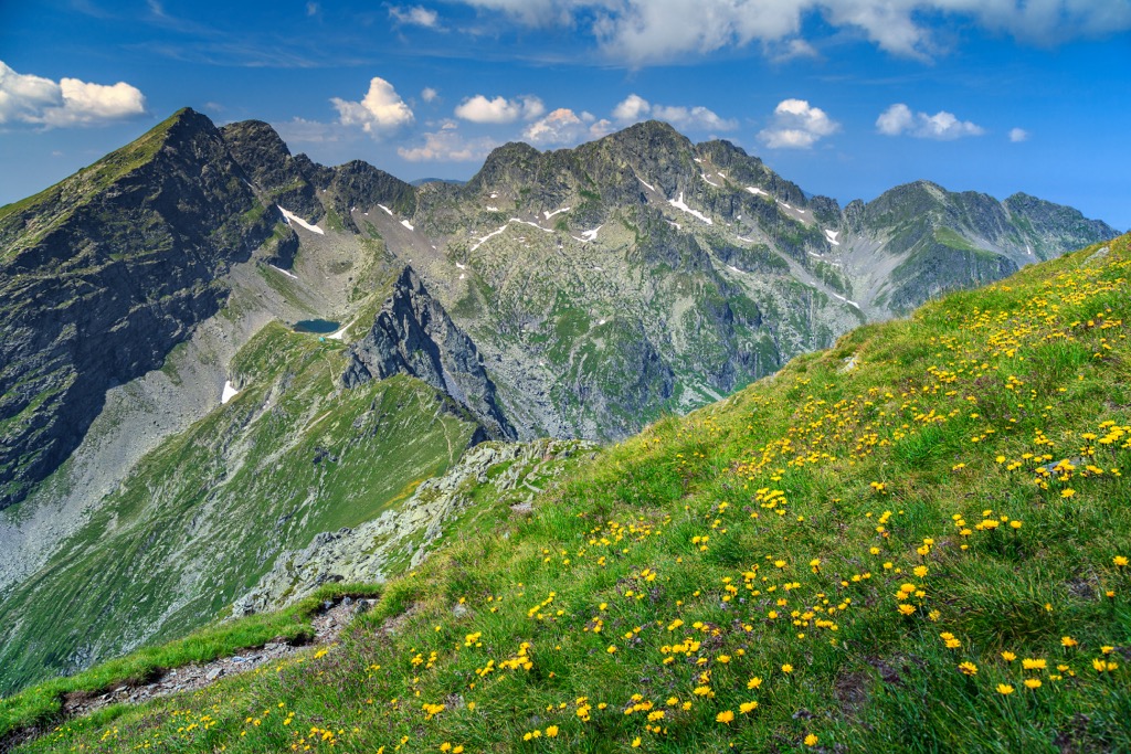 Alpine grasslands in the Făgăraș. Fagaras Mountains