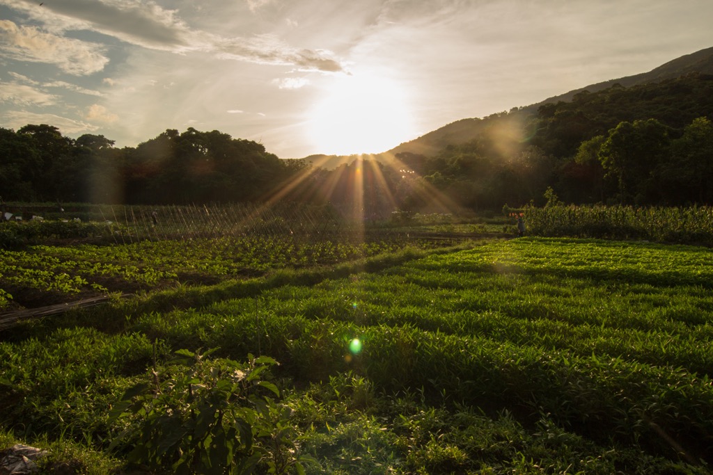 Farm land in Pak Sha O village, Sai Kung West Country Park, Hong Cong, China