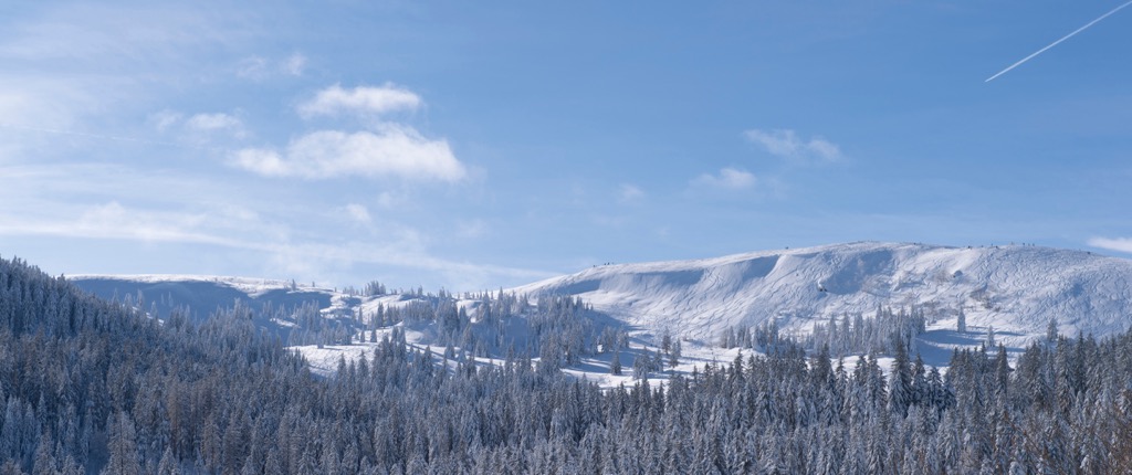 Feldberg’s upper terrain with fresh snow. Feldberg