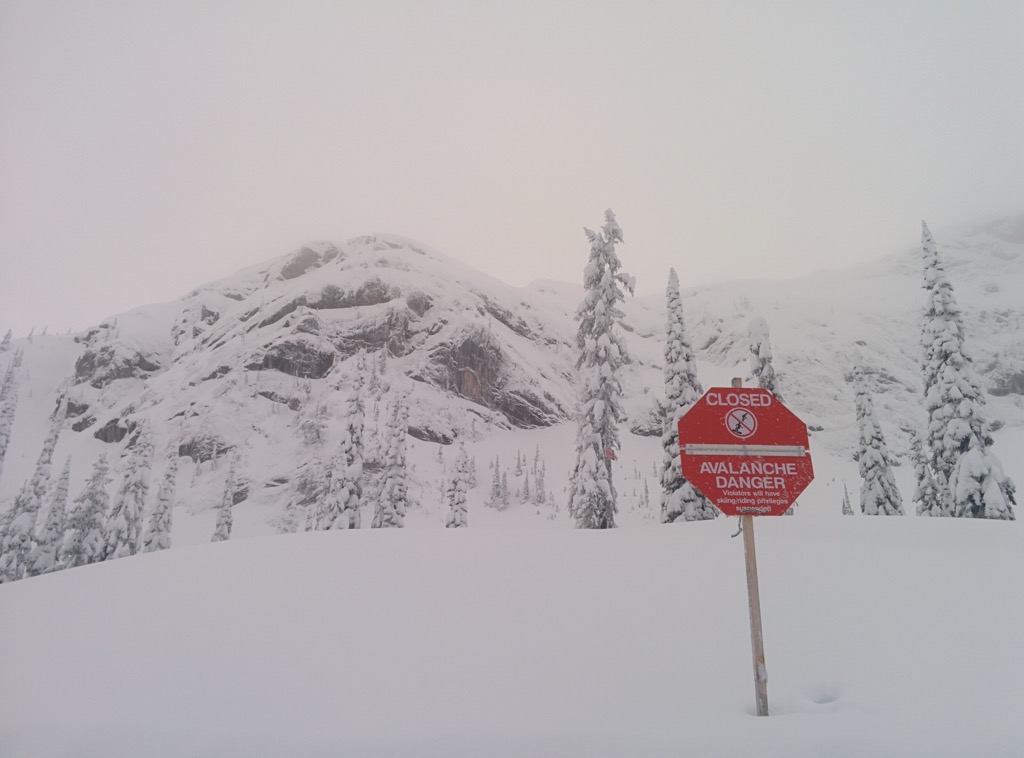 Fernie Alpine Resort