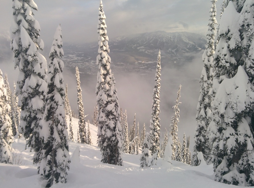 Cedar Bowl with the town of Fernie in the background. Photo: Anthony Butt. Fernie Alpine Resort