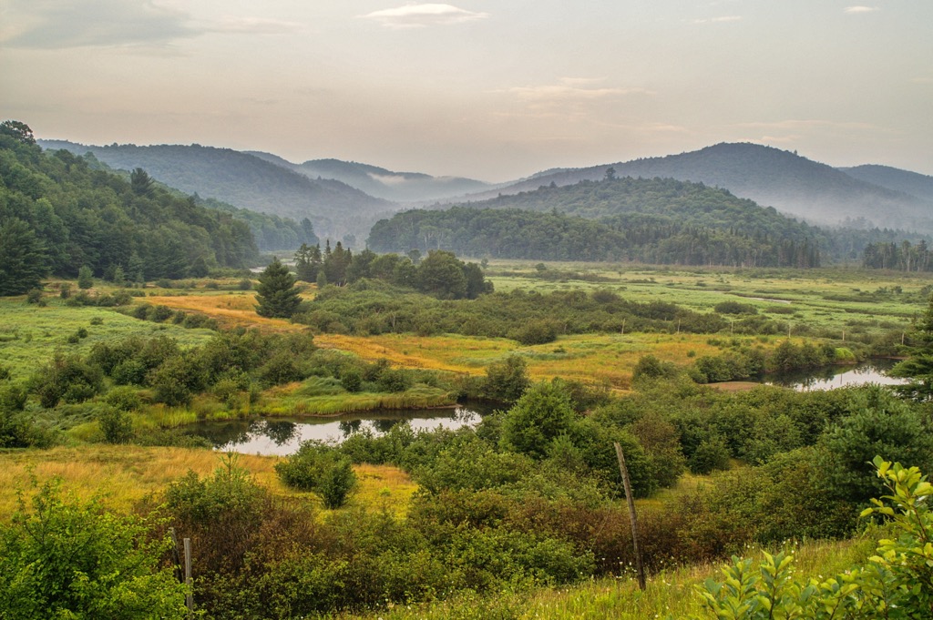 Ferris Lake Wild Forest, New York