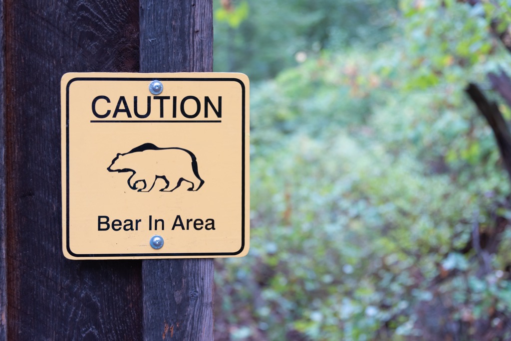 Fintry Provincial Park, British Columbia