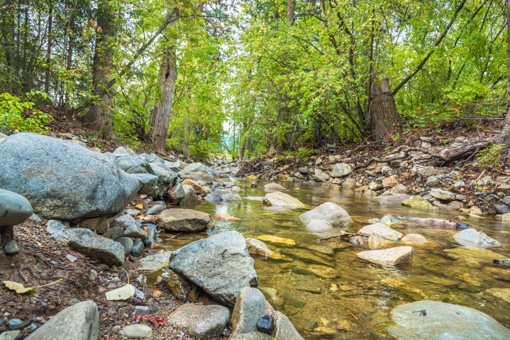 Fintry Provincial Park, British Columbia