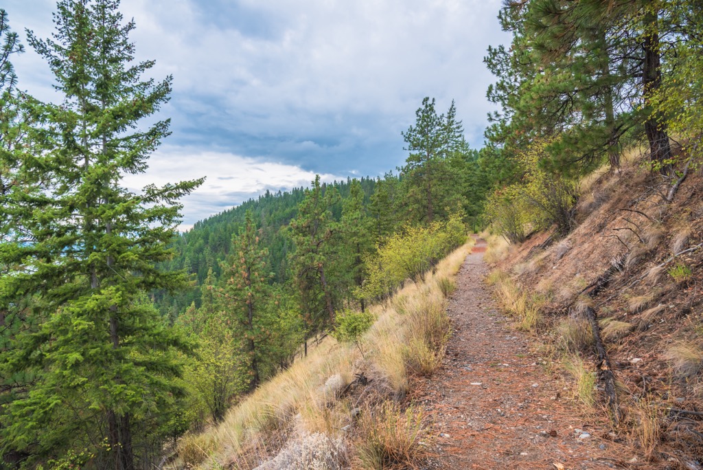Fintry Provincial Park, British Columbia