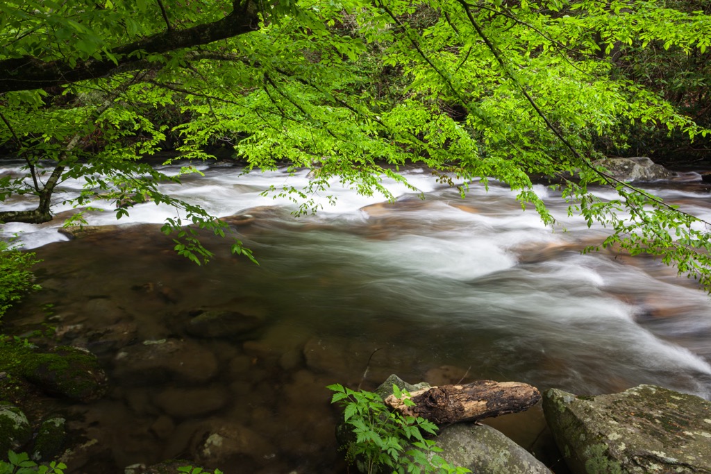Fires Creek Backcountry Area, North Carolina