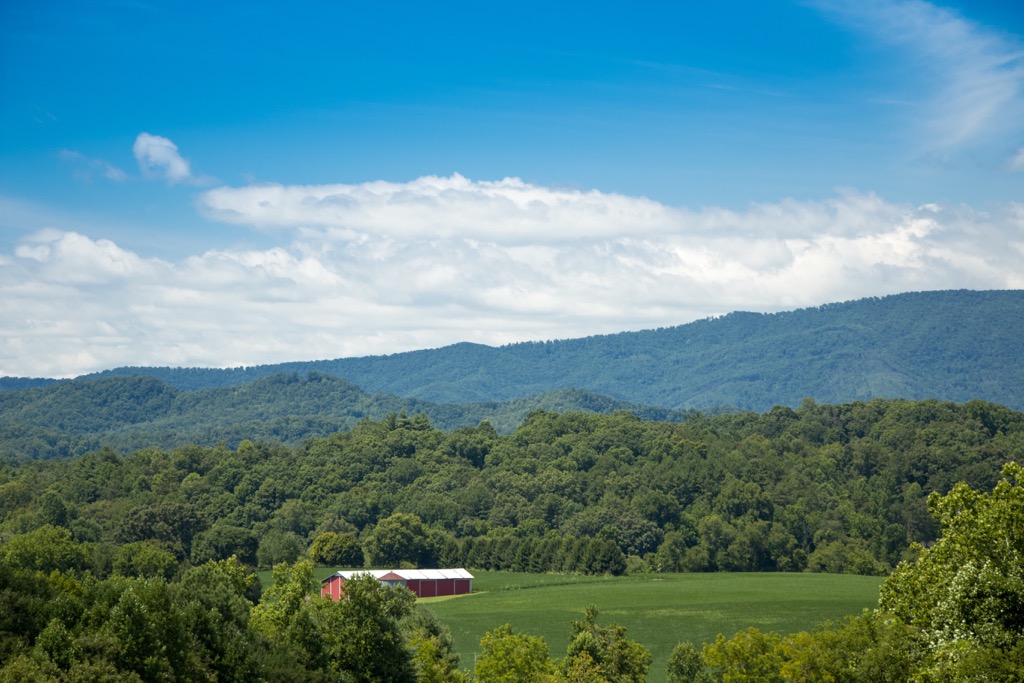Fires Creek Backcountry Area