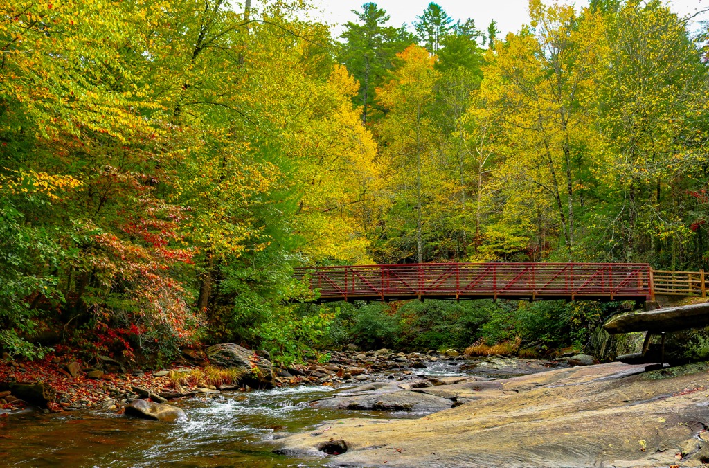 Fires Creek Backcountry Area