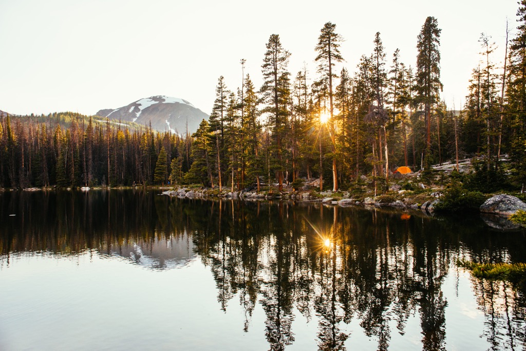 Forest, Cathedral Provincial Park, Okanagan, British Columbia, Canada
