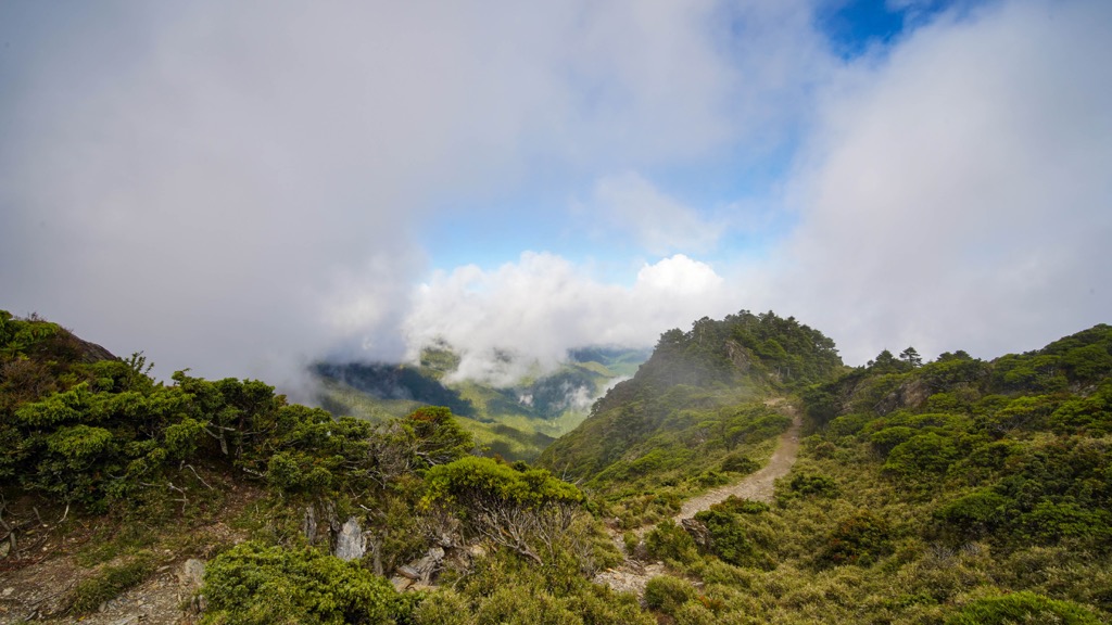 Forest, Xiangyang Forest Recreation Area, Taitung City, Taiwan