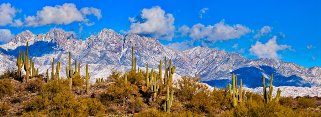 Four Peaks Wilderness, Arizona