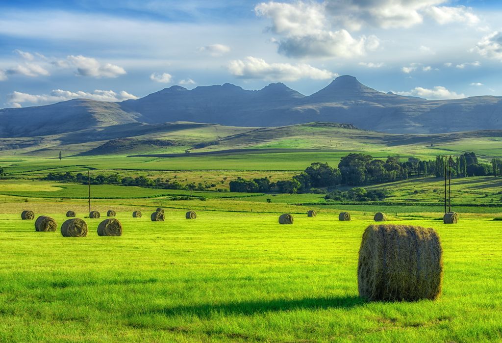 Farmland around Clarens. Free State