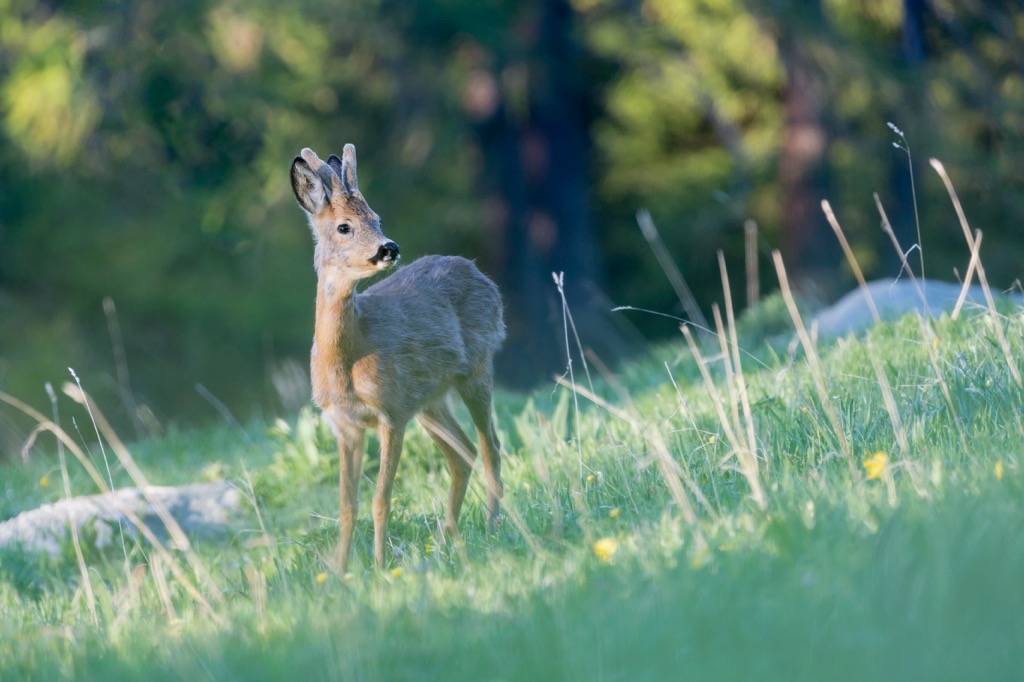  Fribourg, Switzerland