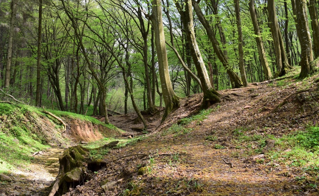 Fruska Gora National Park, Serbia