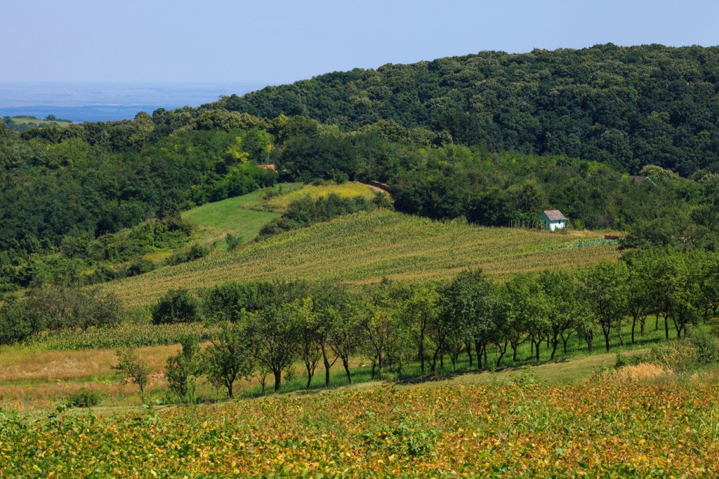 Fruska Gora National Park, Serbia