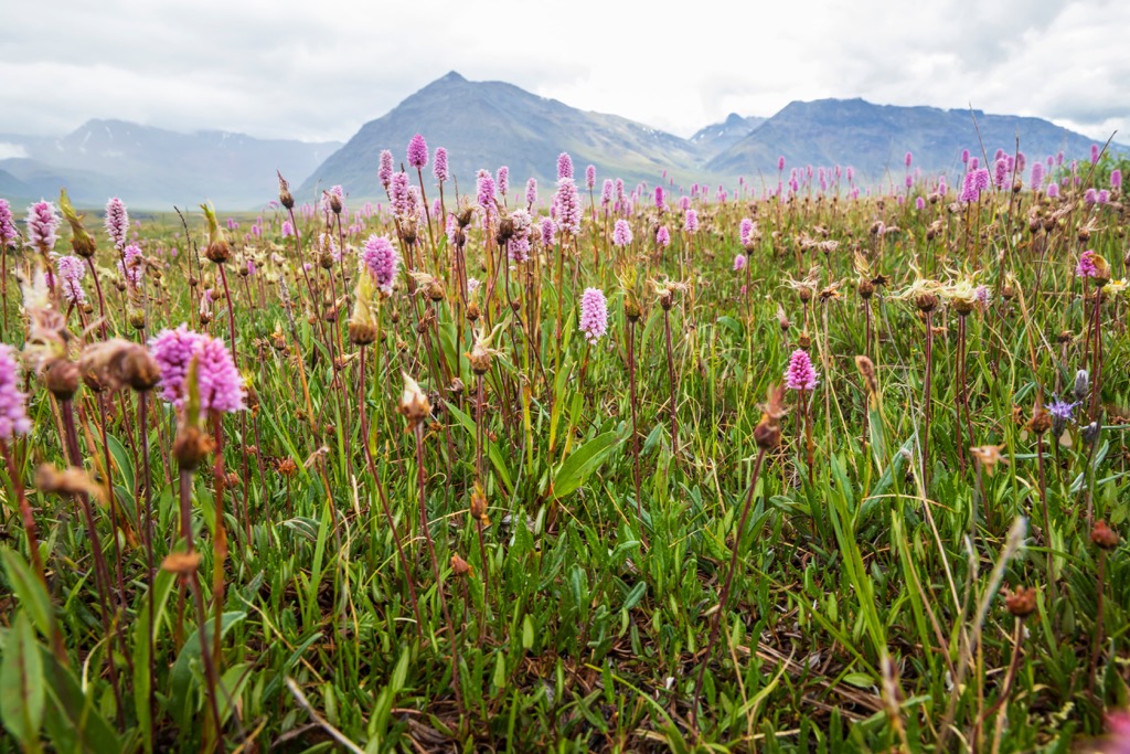 Gates of the Arctic National Preserve, Alaska