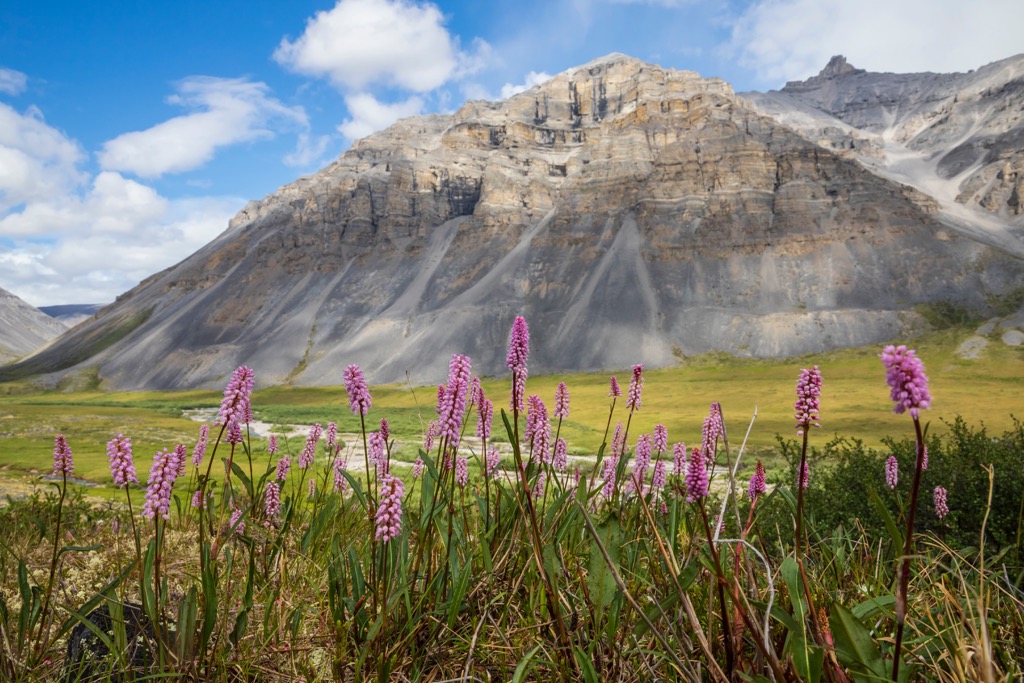 Gates of the Arctic National Preserve, Alaska