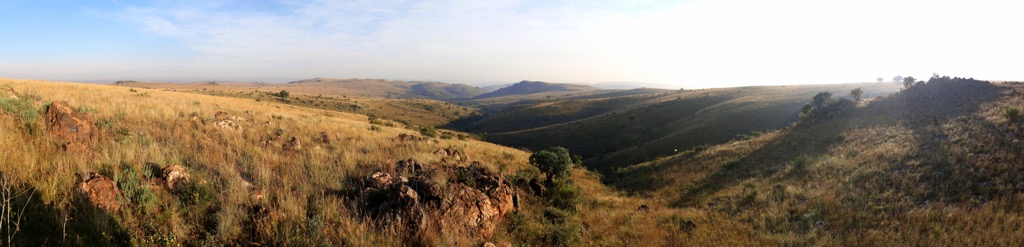 Highveld grassland around the Cradle of Humankind World Heritage Site. Gauteng