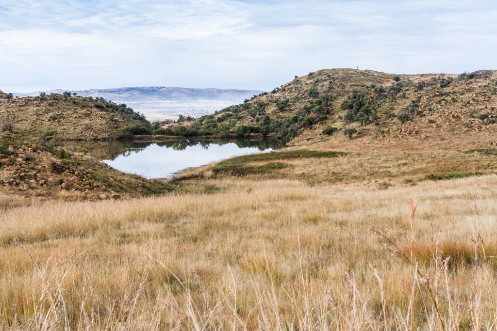 The Suikerbos Dam. Gauteng