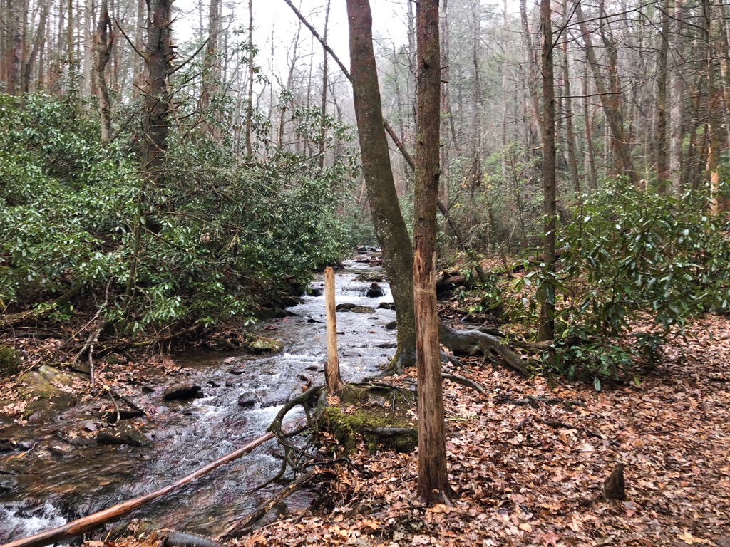 Raven Cliffs Wilderness, Georgia