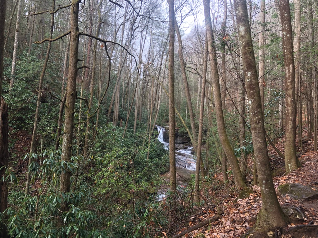 Raven Cliffs Wilderness, Georgia