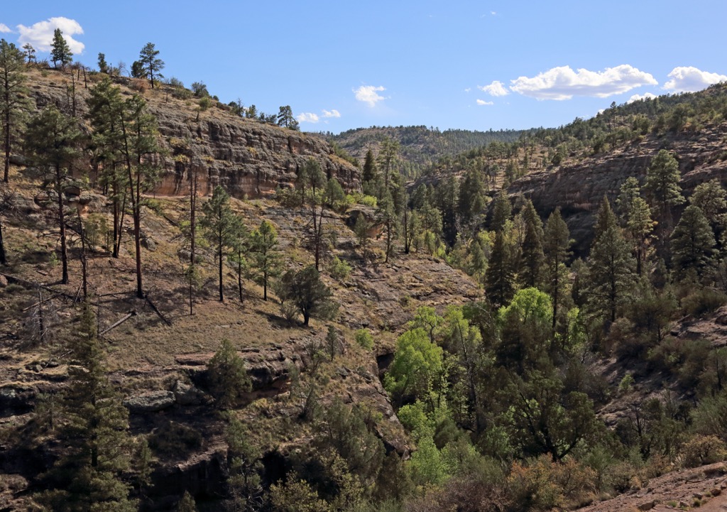 Gila Mountains, New Mexico