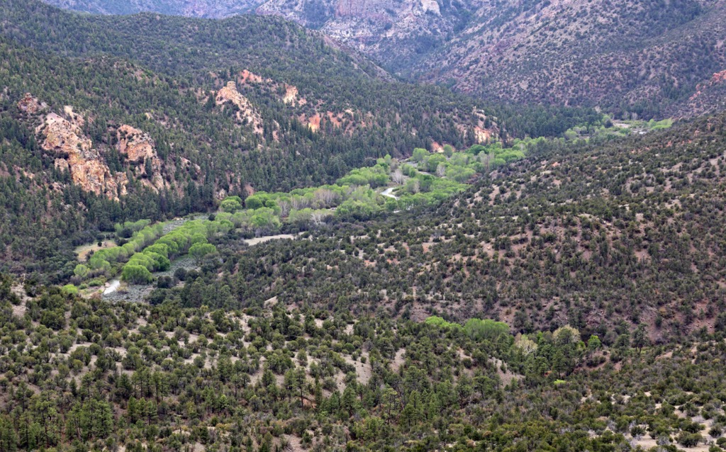 Gila Mountains, New Mexico
