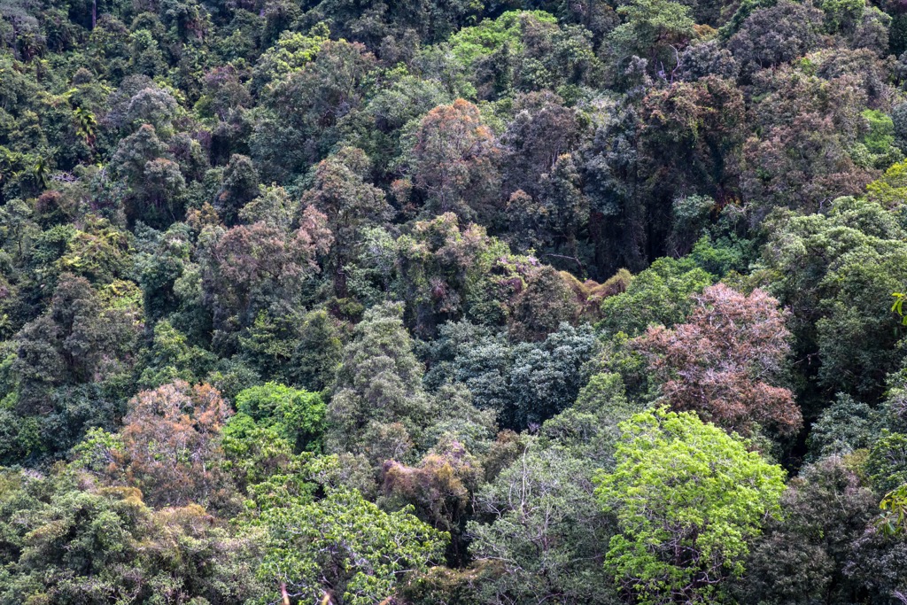 Girringun National Park, Queensland
