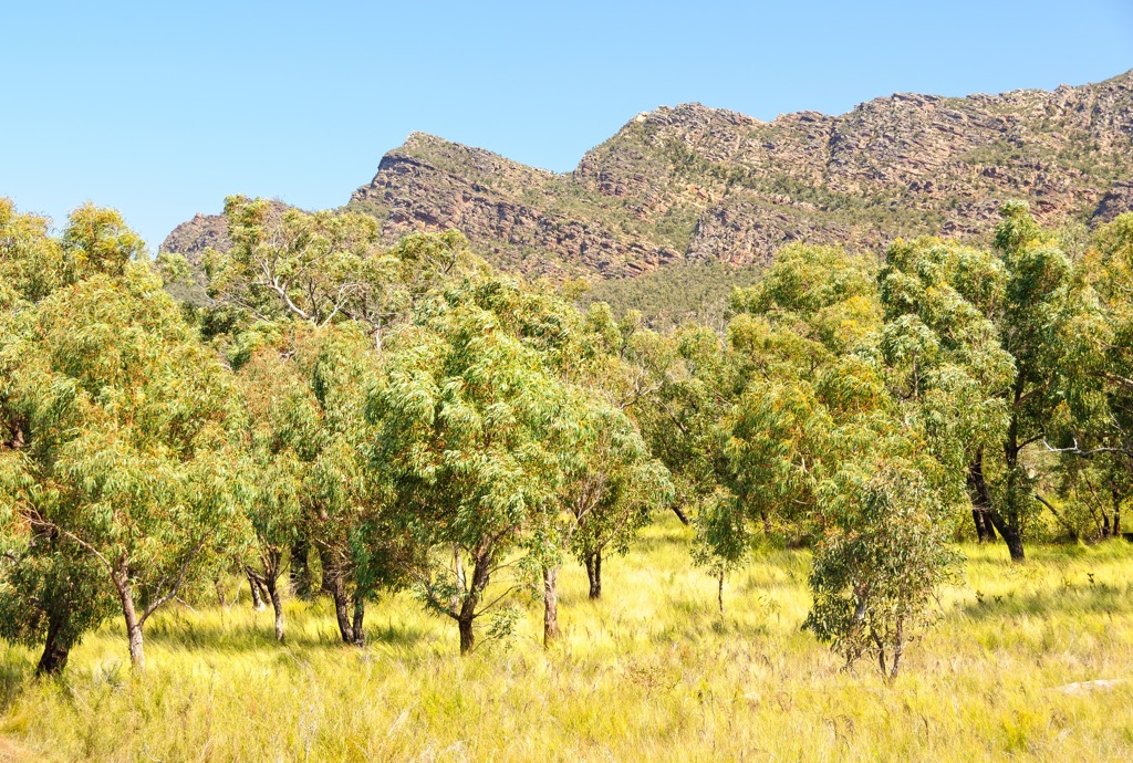 Grampians National Park, Australia