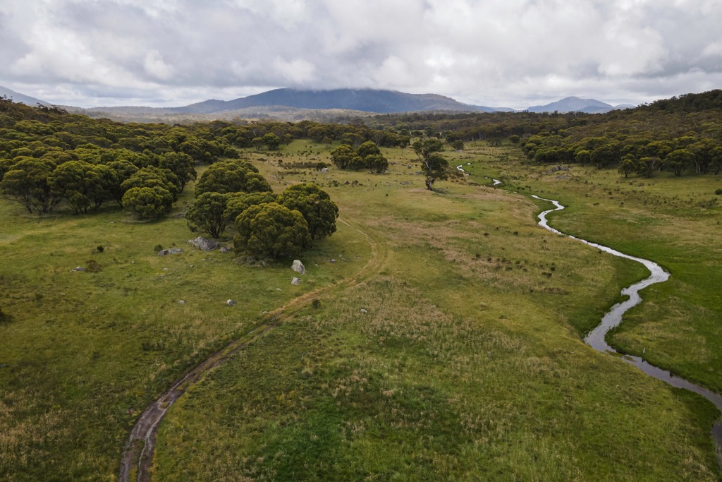 Grassy Creek, Namadgi National Park, ACT, Australia