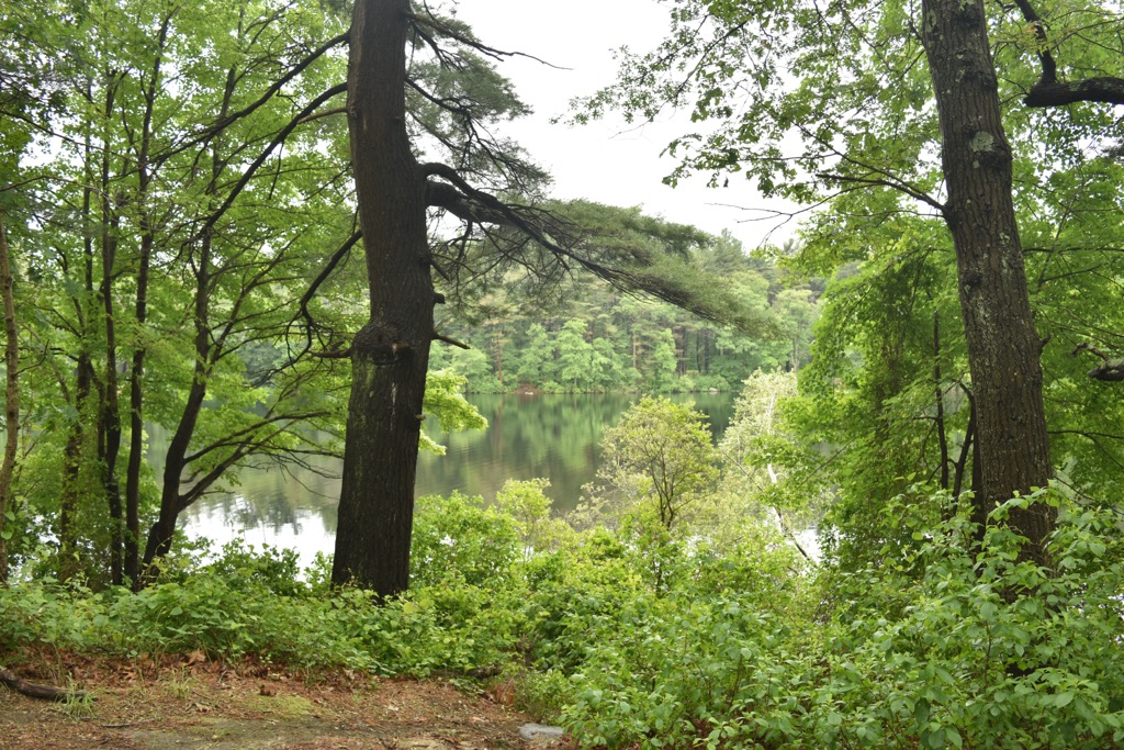 Blue Hills Reservation