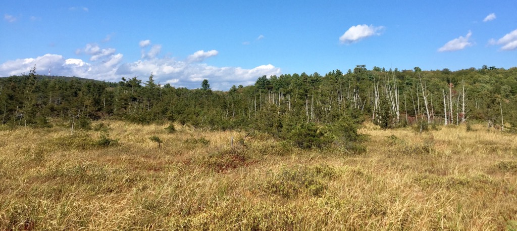 Blue Hills Reservation, Massachusetts