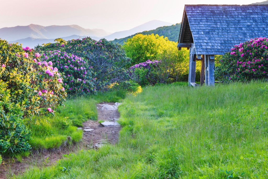  Great Craggy Mountains, North Carolina