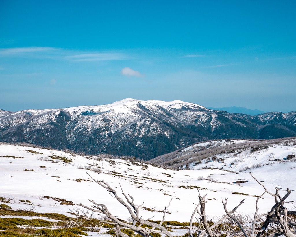 Great Dividing Range