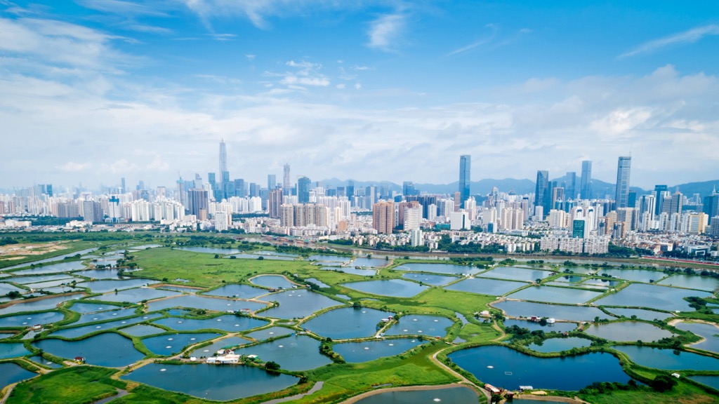 Shenzhen skyline. Guangdong