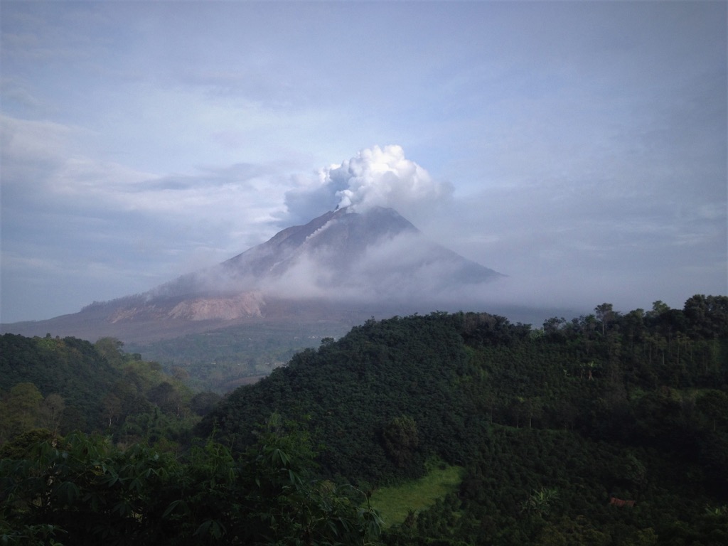 A 2019 eruption of Sinabung. Nekomong, CC BY-SA 4.0, via Wikimedia Commons. Gunung Leuser