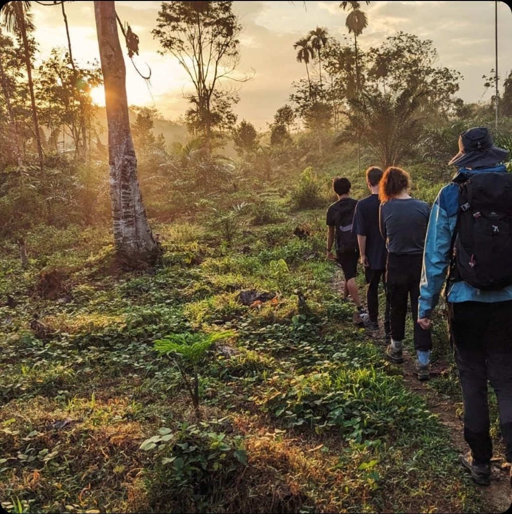 Gunung Leuser