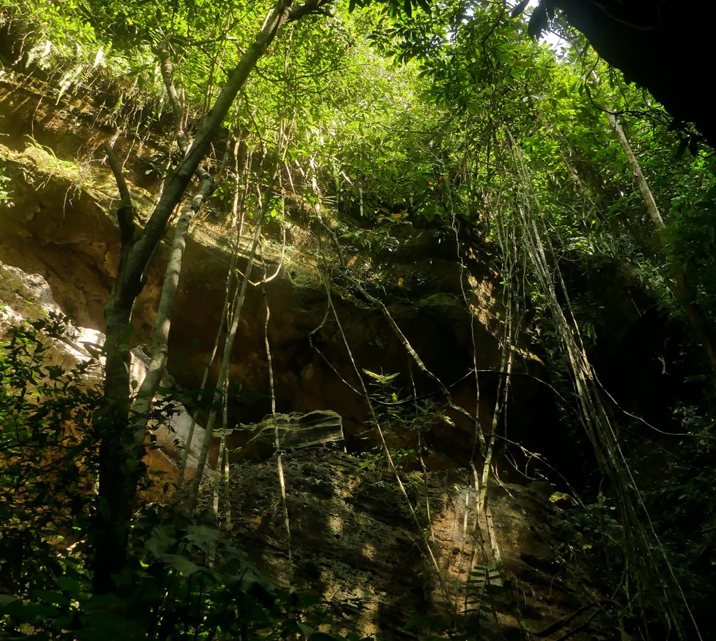 Gunung Leuser