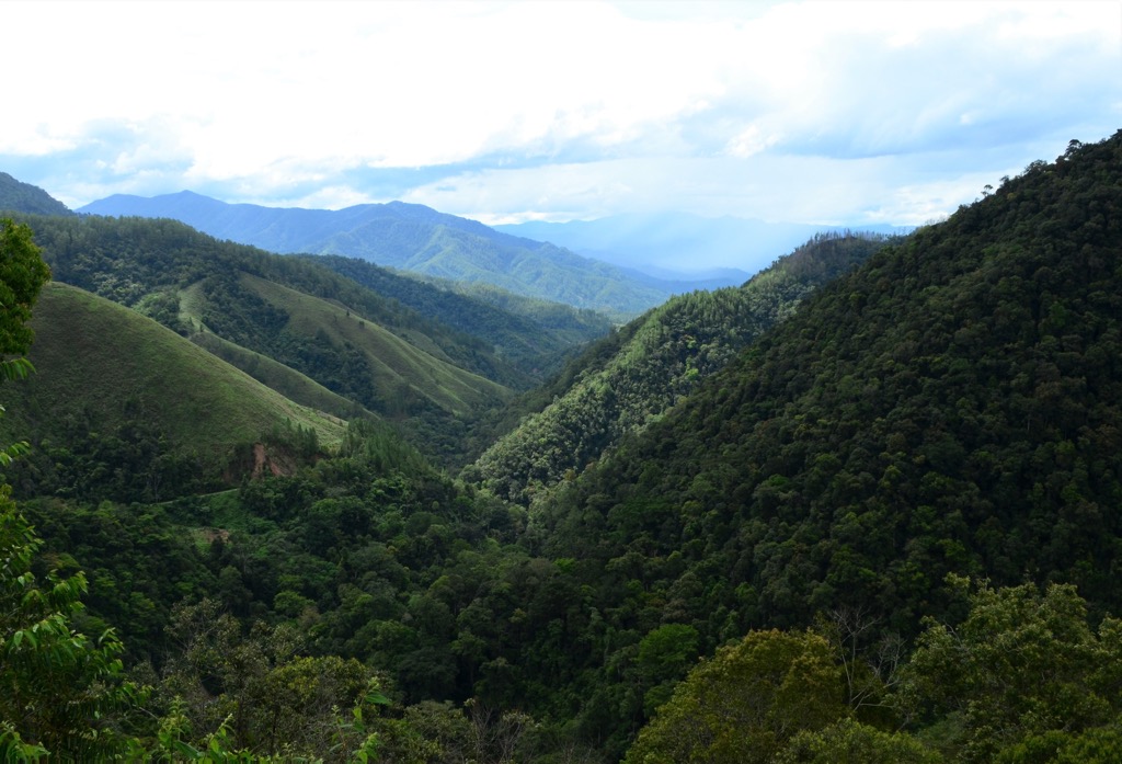 Gunung Leuser high country. Gunung Leuser