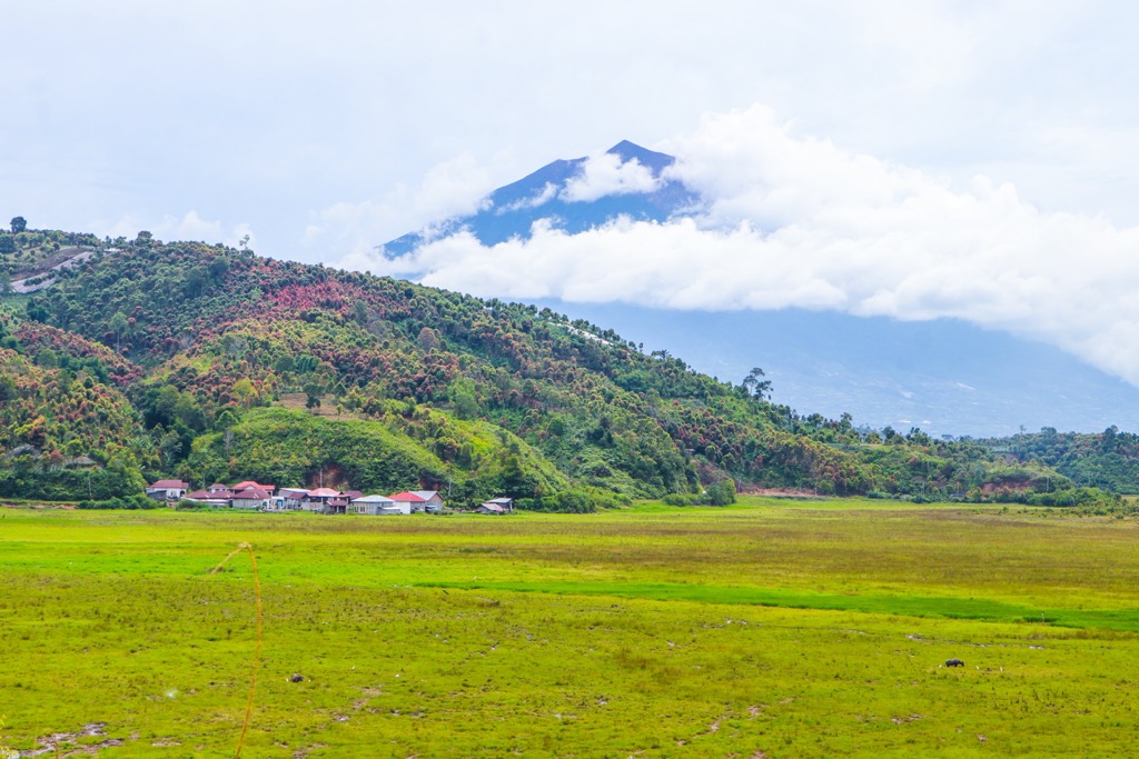 Gunung Kerinci (3,805 m / 12,483 ft), also part of the Bukit Barisan arc, is the highest mountain in Sumatra. It’s a stratovolcano and is protected within the Kerinci Seblat National Park. Gunung Leuser