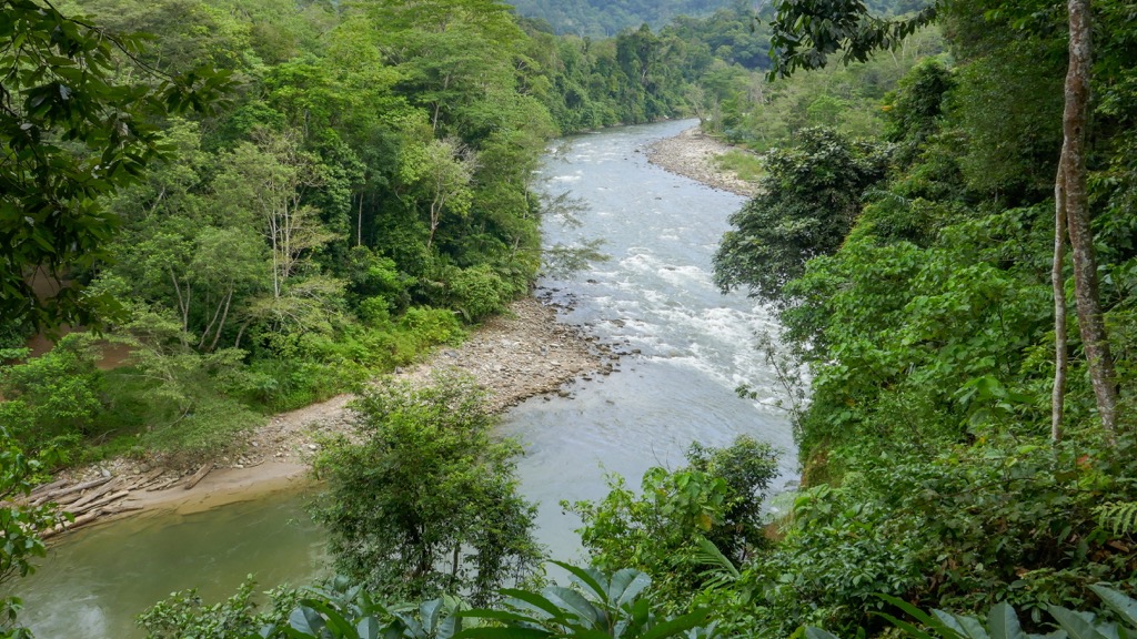 The Alas River cuts through the mountainous terrain. Gunung Leuser