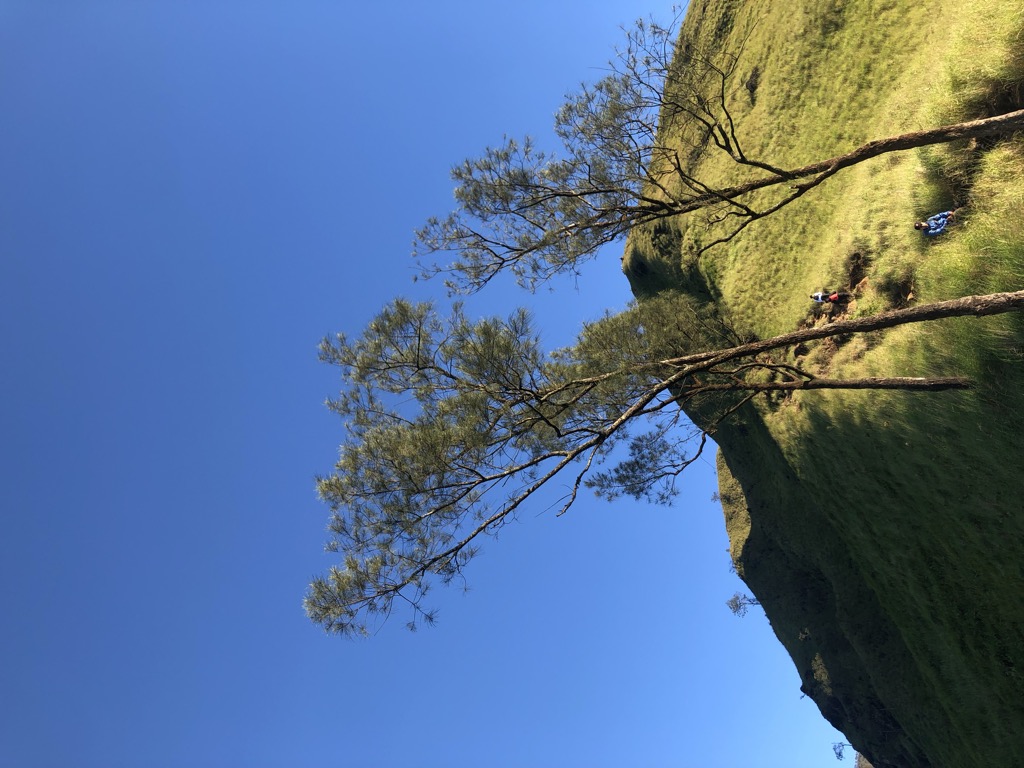 Photo №2 of Gunung Lincing