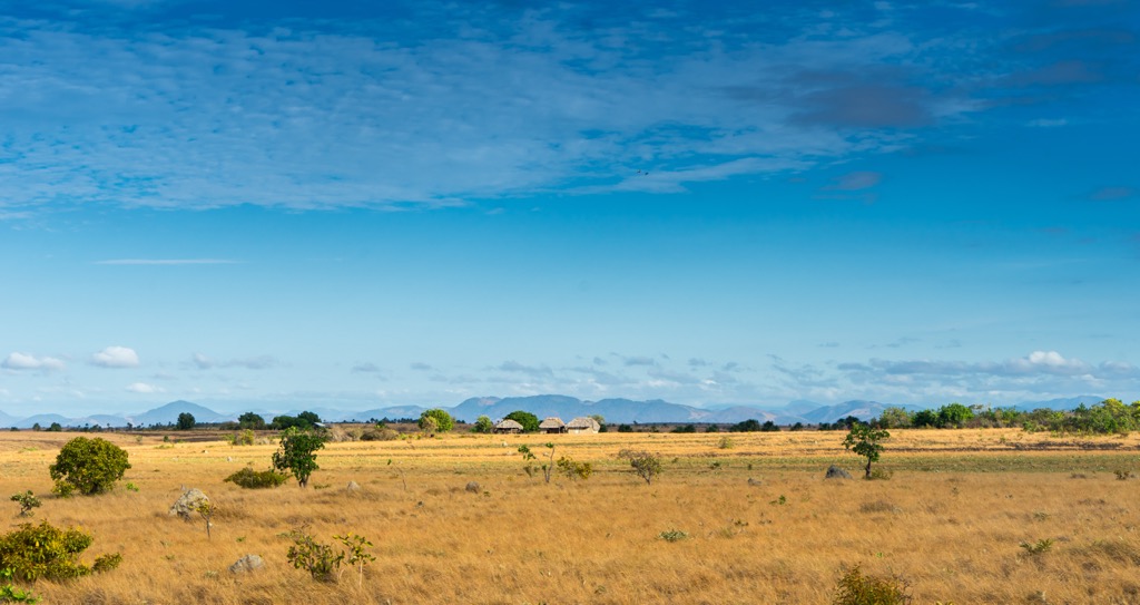 Guyana’s Rupununi interior savannah. Guyana