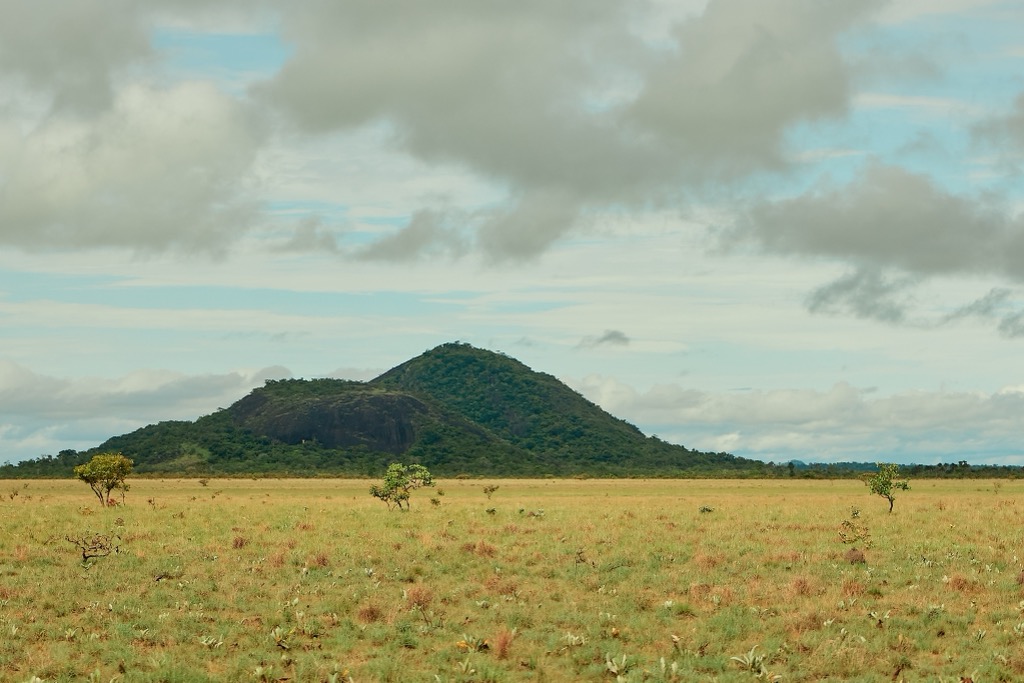 The Kanuku Mountains rise out of the Rupununi savannah. Guyana