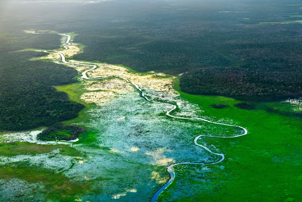 A tributary of the Demerara River winding through the Amazon Rainforest. Guyana