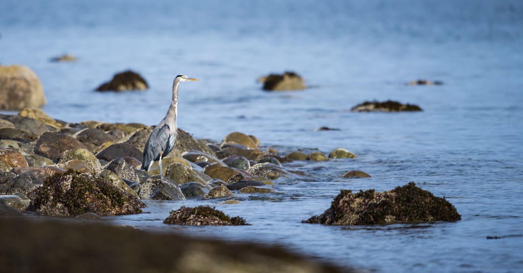 Gwaii Haanas National Park, British Columbia
