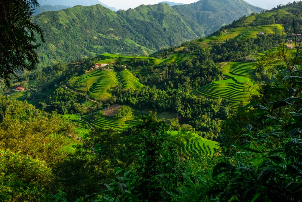 Humans have cultivated the valleys and hillsides of Hà Giang for thousands of years, molding the landscape into a series of terraced hillsides. Some forests remain, but only in the rugged, inaccessible high country. Ha Giang Province